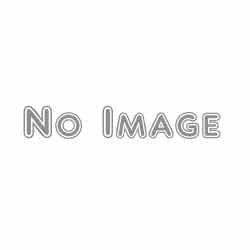 画像1: その他　調整用