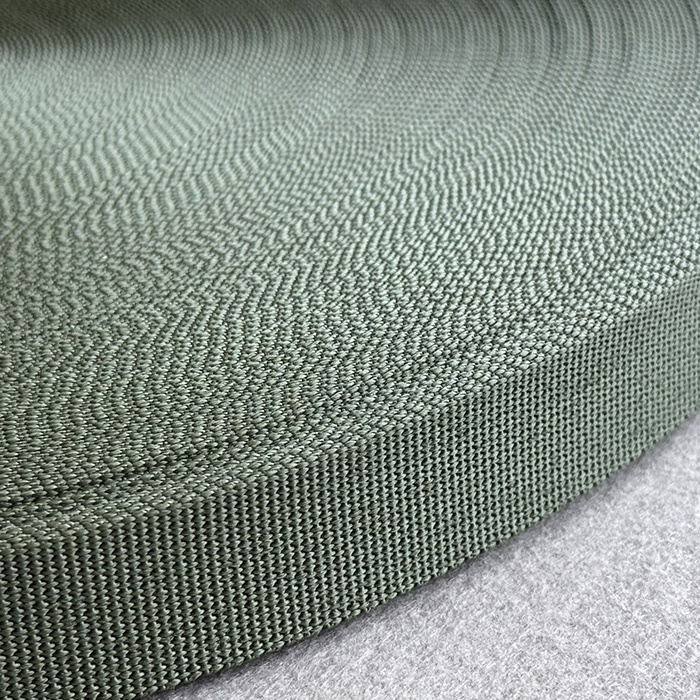 画像1: ナイロンウェビング/1”/CG483/CORDURA Truelock